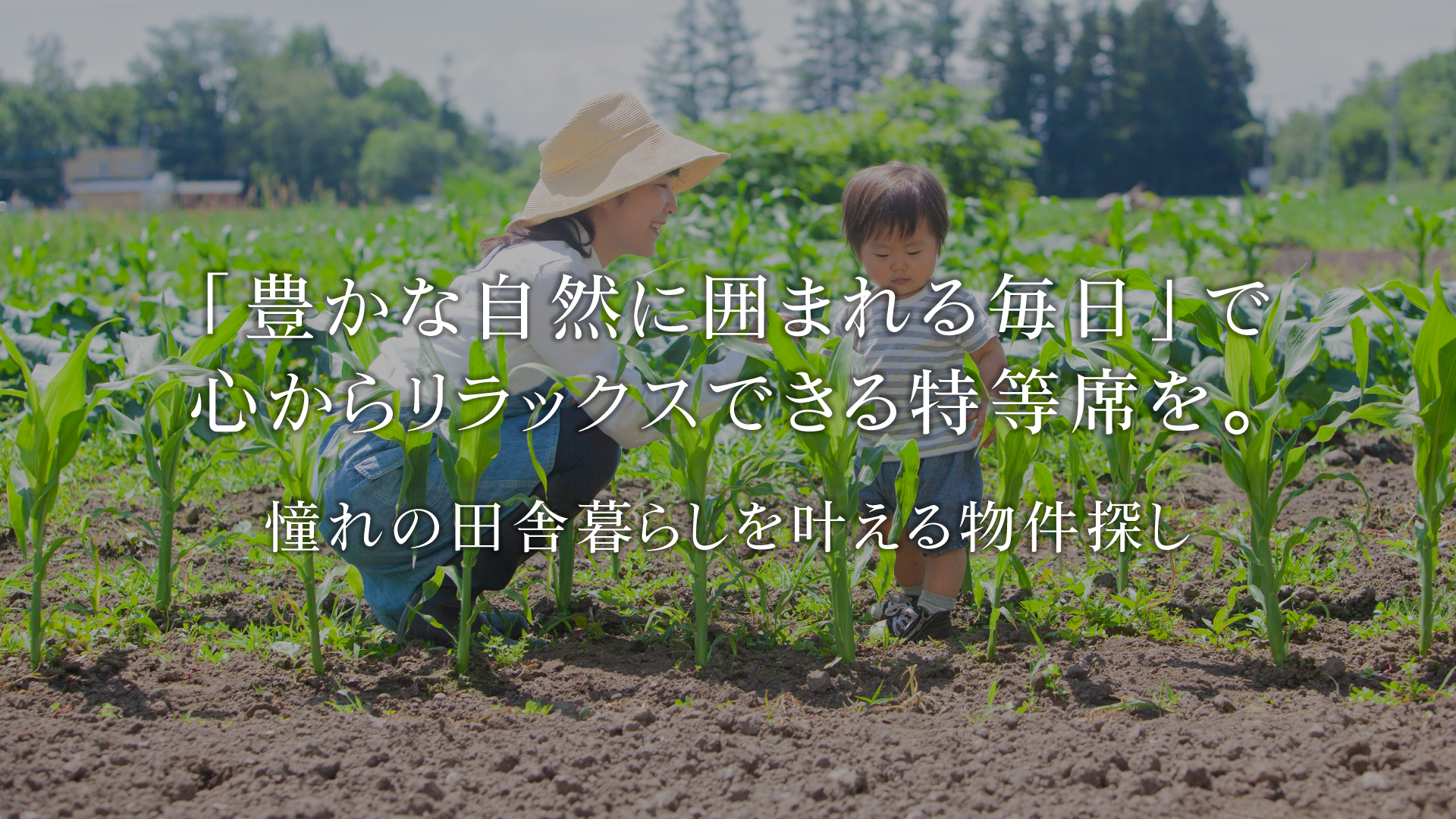 7-sp.png